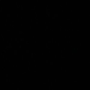 Meet your Posher, Mariam